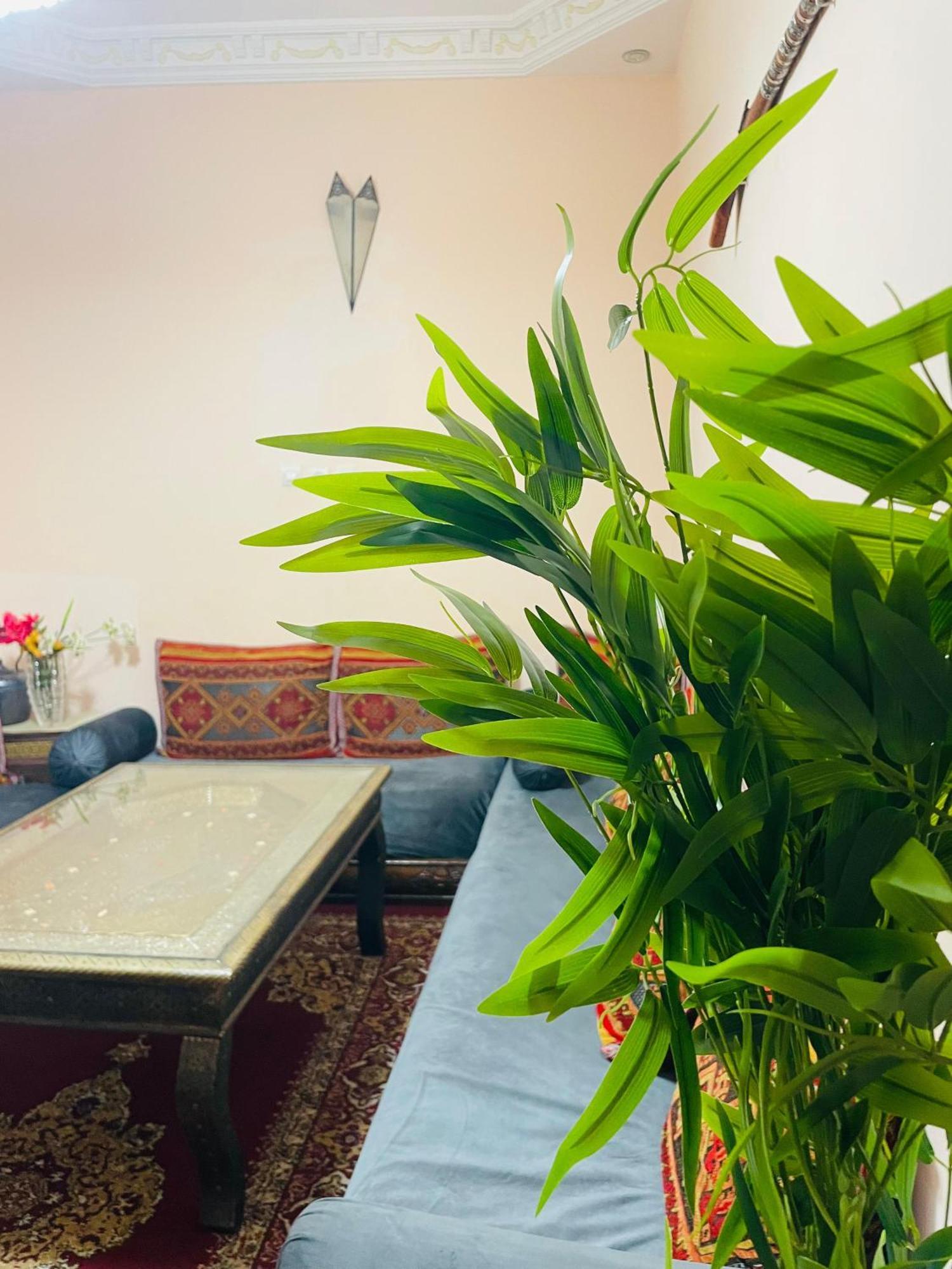 Riad ms holiday’s privatisé 8 personnes - avec terrasse Marrakesh Exterior foto